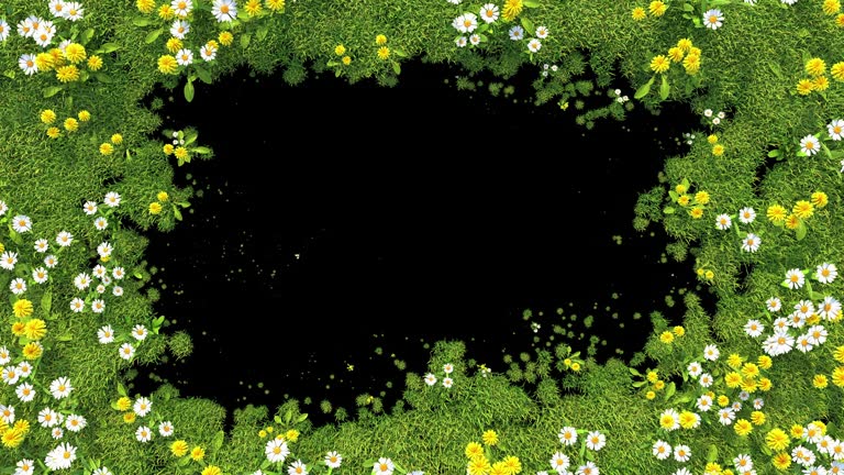 Grass and flowers covering the screen and disappearing animation, userful for video transition