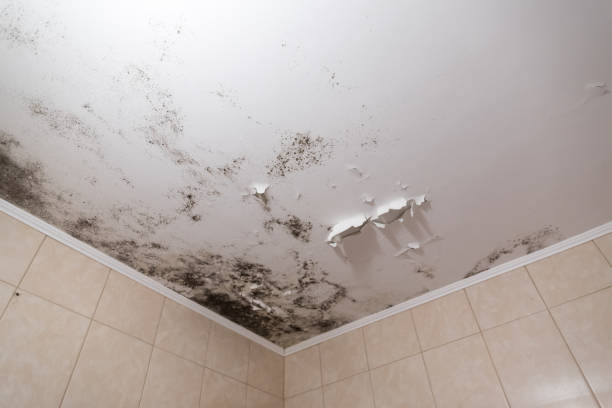 istock Black mold and mildew spots on the ceiling or wall due to poor air ventilation and high humidity. Harm to health. 1221393118