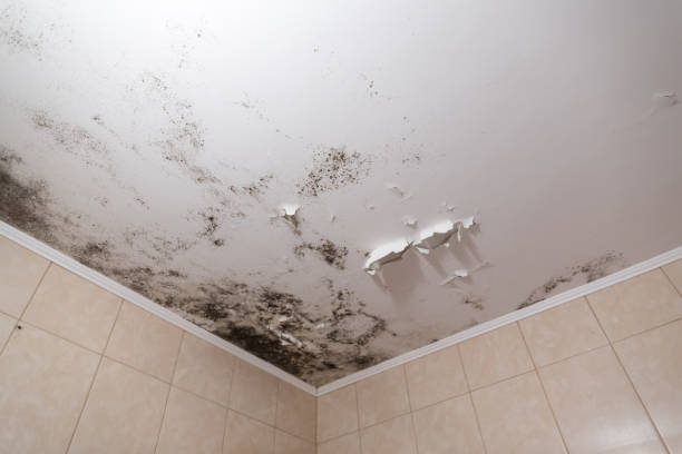 черная плесень и плесень пятна на потолке или стене из-за плохой вентиляции воздуха и высокой влажности. вред здоровью. - toxic шаблон стоковые фото и изображения