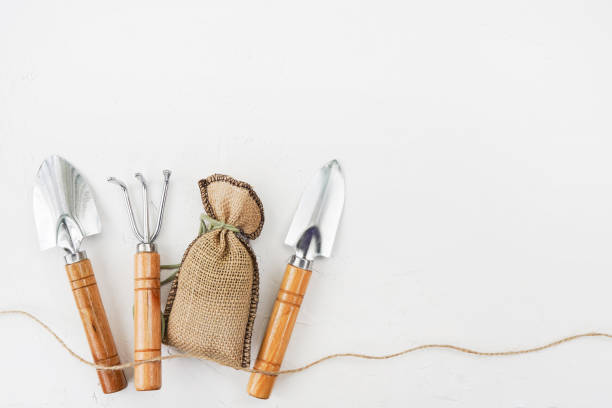 Gardening tools on white table. Spring in the garden concept, top view, flat lay composition.