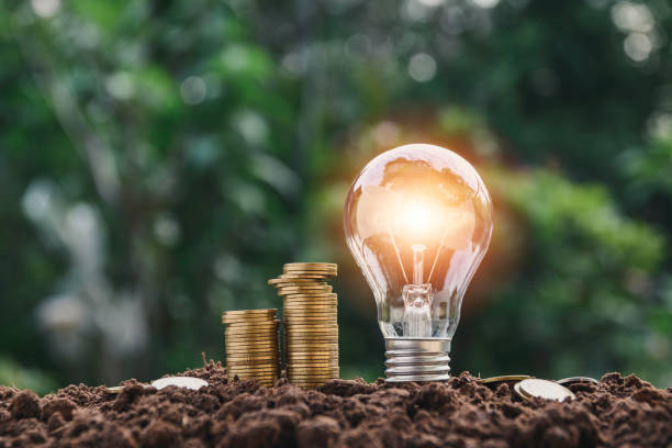 light bulb with coins beside and young plant on top concept put on the soil in soft green nature background. - power saving imagens e fotografias de stock