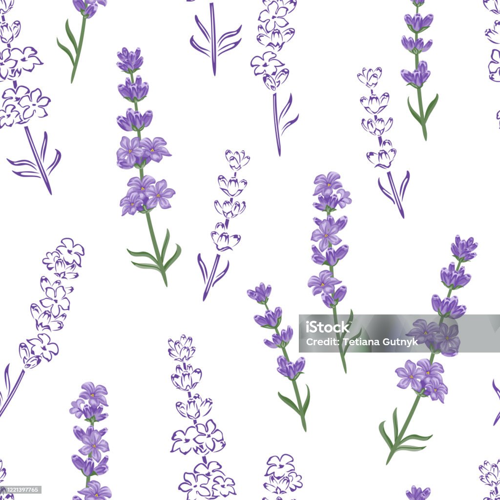 Lavender Seamless Pattern Floral Background Beautiful Lavender Flowers On  White Background Vector Color Illustration In Cartoon Flat Style And  Outline Stock Illustration - Download Image Now - iStock
