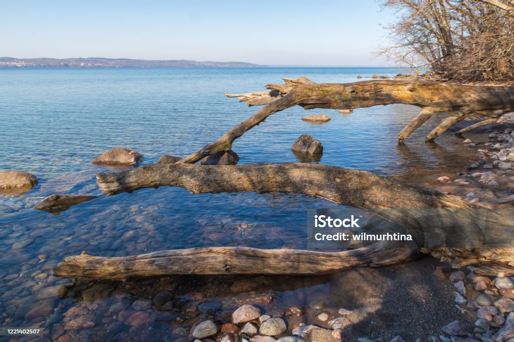 Idyllic scene with tree trunks leaning out over a stony beach with clear blue water; Lake Vättern, Jönköping, Sweden Panoramic view over Lake Vättern, Jönköping, Sweden. Old tree trunks have fallen down on the stony beach and give reflections in the clear water. A sunny day in springtime, March 2020 Adventure Stock Photo