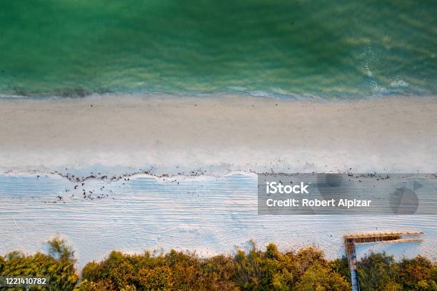 Beachfront At Delnorwiggins Beach In Naples Florida Stock Photo - Download Image Now