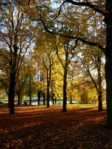 istock Autumn panorama in the afternoon, Germany 1221411446