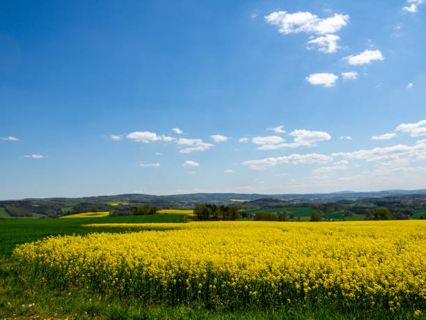 istock Hiking in the Vogtland in spring 1221412368