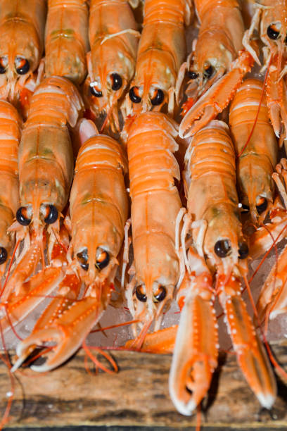 istock Norway lobster, Dublin Bay prawn 1221413347