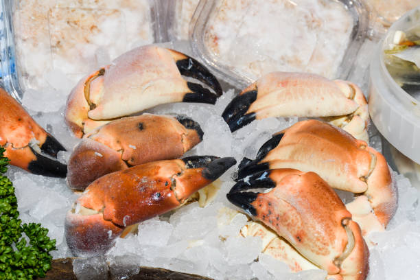 istock Fresh seafood on ice at the market 1221413412
