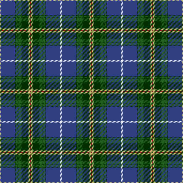 illustrazioni stock, clip art, cartoni animati e icone di tendenza di tartan della nuova scozia. - scotia