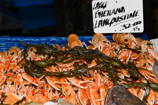 istock Norway lobster, Dublin Bay prawn 1221414181