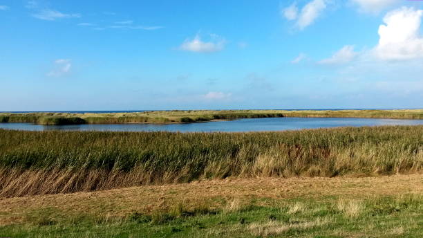 istock Beautiful landscape panorama, Fehmarn, Germany 1221414425
