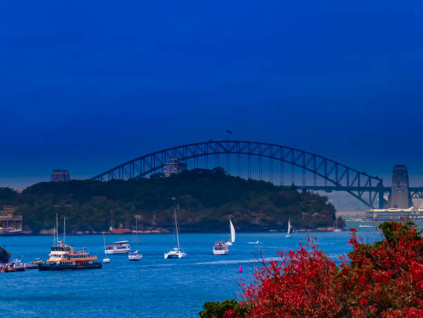 istock Panoramic view of Sydney Harbour foreshore in NSW Australia 1221417032