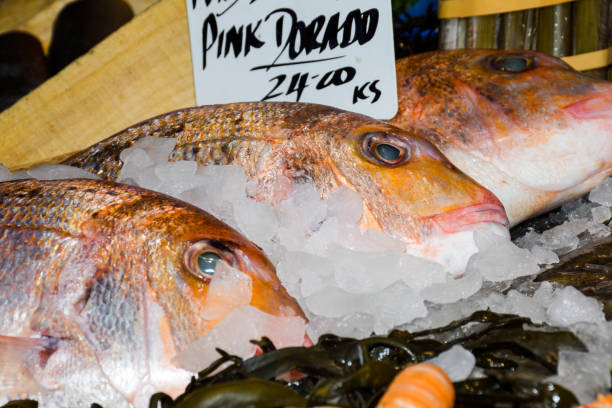 istock Fresh seafood on ice at the market 1221417264
