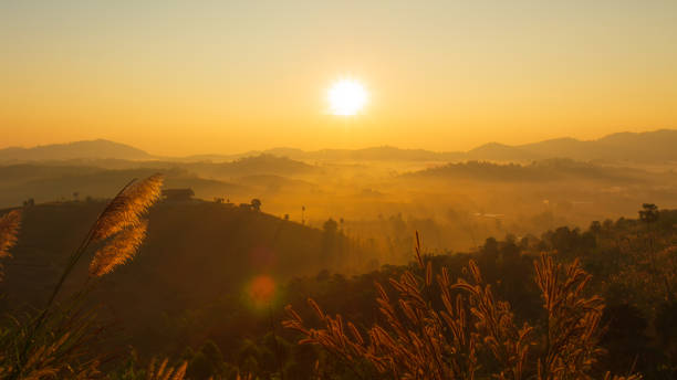 The morning sun and the orange sky above the mountains. The beam of the sun hitting trees and flowers of grass. stock photo