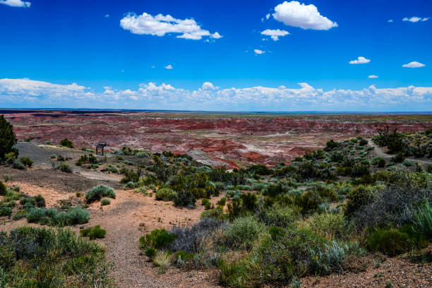 istock Petrified Forest National Park - Arizona, USA 1221418646