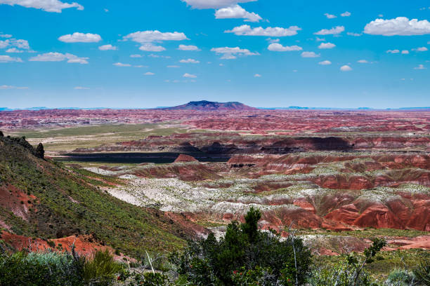 istock Petrified Forest National Park - Arizona, USA 1221418719