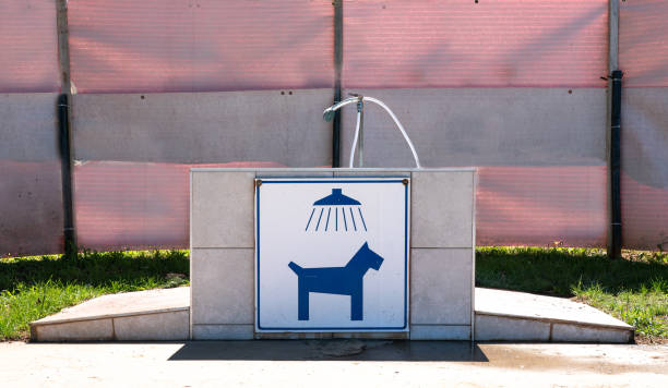 Dog shower place n a camping site