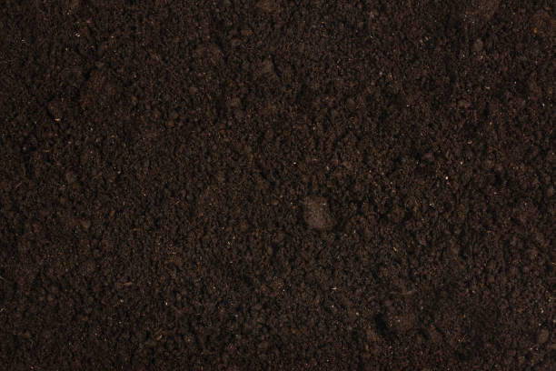 istock Black land for plant background. 1221420823
