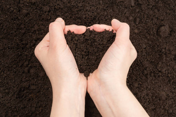 istock Woman hand holding ground. 1221420837