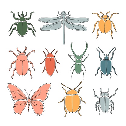 Outling Insects Set Of Different Outline Abstract Insects Hand Drawn Vector ...