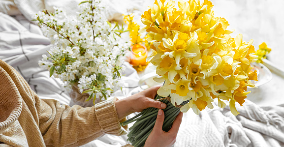 A young woman holds a bouquet of daffodils.The concept of spring and flowering.