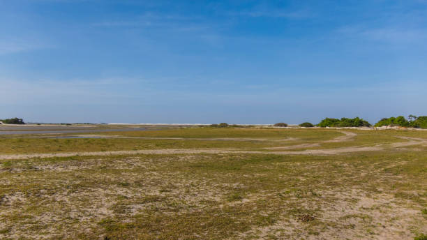 istock Panoramic view of the desert 1221425247
