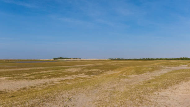 istock Panoramic view of the desert 1221425316