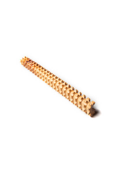 istock Roller with spikes massage wooden. Massager for the body. 1221426219