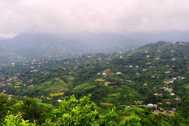 istock Green landscape, view from mountain. 1221427163