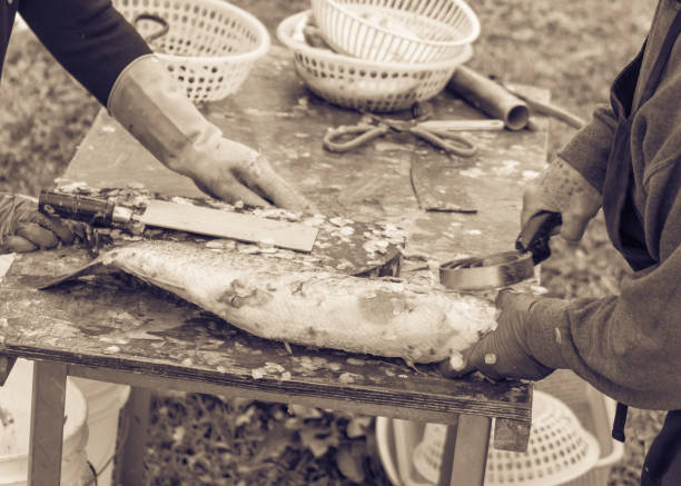Fishmonger Tools 40+ Fish Scaler Stock Photos, Pictures & Royalty-Free Images - iStock
