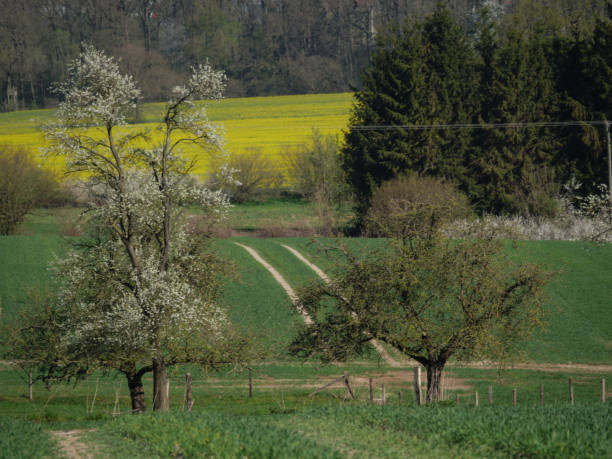istock spring time in the german muensterland 1221427748