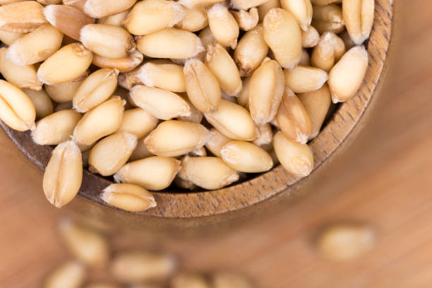 istock Closeup macro wheat grains background agriculture 1221428970