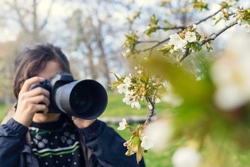 A girl taking pictures of apple blossom with a macro lens in spring.