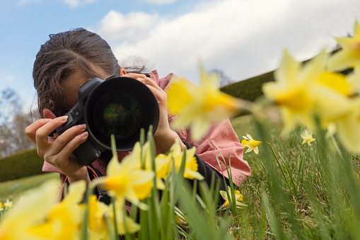 A girl lying down on a park lawn and taking pictures of daffodils in spring.