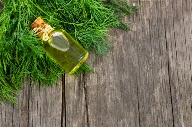Glass bottle of dill essential oil with fresh dill bunch, green vegetable oil concept, healthy food ( Anethum graveolens )