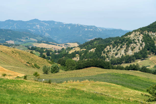 istock Summer landscape near Bagno di Romagna, in the Appennino 1221433534