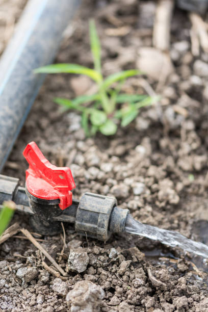 istock Water irrigation pump greenhouse leaks 1221434005