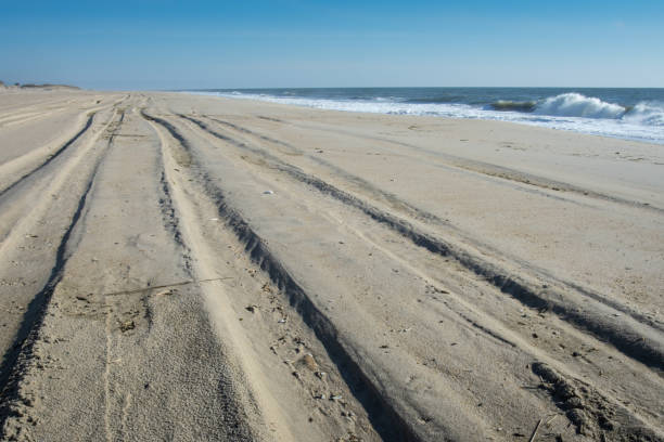 istock View of deserted Delaware Beach due to Coronavirus shutdown 1221436967