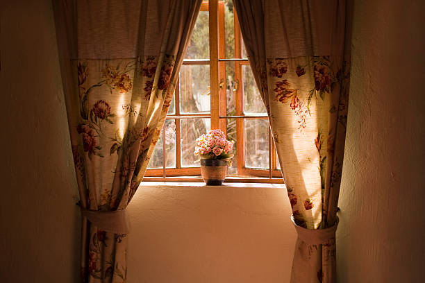 istock Sunny window sill with pot plant and curtains 122143907