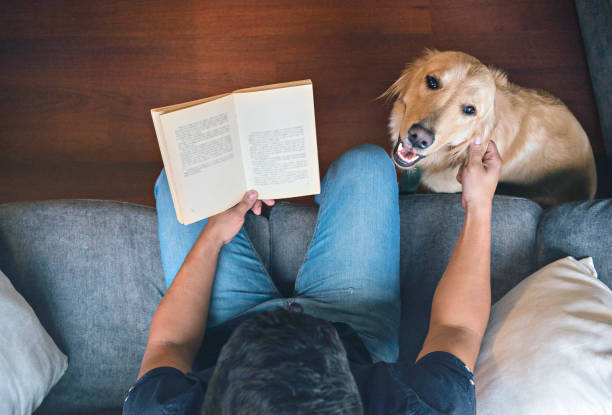 istock Latino man sitting on his sofa reads a book with his pet 1221443204