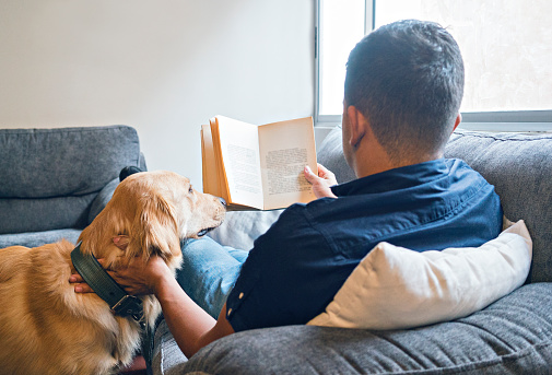 Latino man of average age of 30 years is sitting on the sofa at home reading a book in the company of his pet golden-haired dog that is sitting next to him who caress his neck both are kept in quarantine by the covid -19
