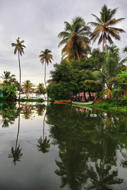 istock Backwaters in Allepey at sunset, Kerala, India. 1221444181