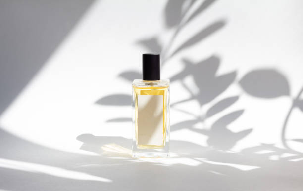 Bottle of essence perfume on white background with sunlight and shadows of leaves. Bottle of essence perfume on white background with sunlight and shadows of leaves. Minimal style perfumery template perfume sprayer stock pictures, royalty-free photos & images