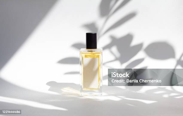 Bottle Of Essence Perfume On White Background With Sunlight And Shadows Of Leaves Stock Photo - Download Image Now