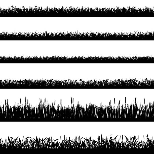 2001.m01.i010.n006.S.c15.1377596369 Realistic grass borders. Vector illustration set [Ð¿ÑÐµÐ¾Ð±ÑÐ°Ð·Ð¾Ð²Ð°Ð½Ð½ÑÐ¹] Grass border silhouettes. Black grass silhouettes, natural environment herb borders, grass panorama. Landscape lawn elements isolated symbols set. Illustration grass border, plant summer line grass family stock illustrations