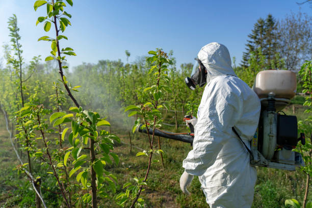 istock Farmer in Coveralls With Gas Mask Spraying Orchard With Atomizer Sprayer 1221448518