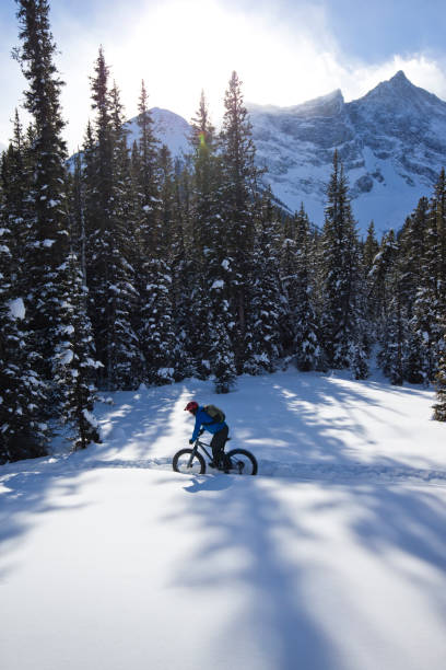 istock Winter Fat Bike Ride 1221449712