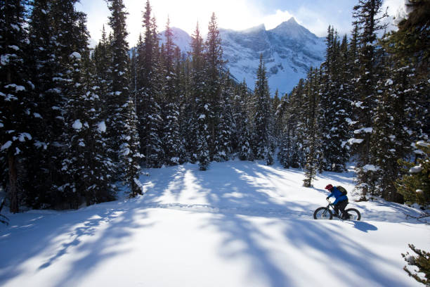istock Winter Fat Bike Ride 1221449758