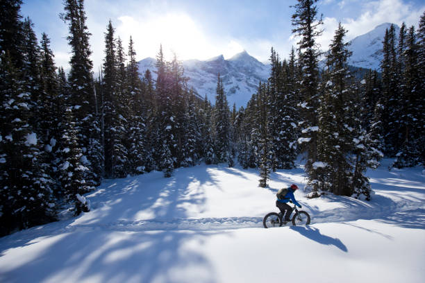 istock Winter Fat Bike Ride 1221449906