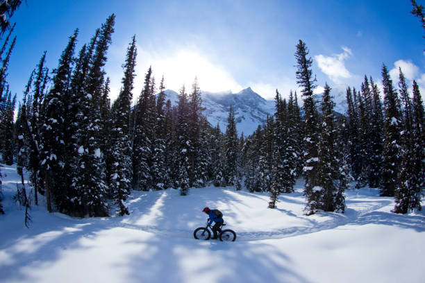 istock Winter Fat Bike Ride 1221449912